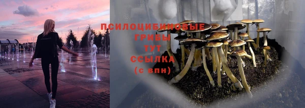 PSILOCYBIN Куйбышев