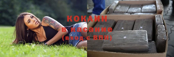 индика Лиски