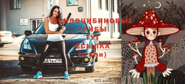 а пвп мука Ессентукская