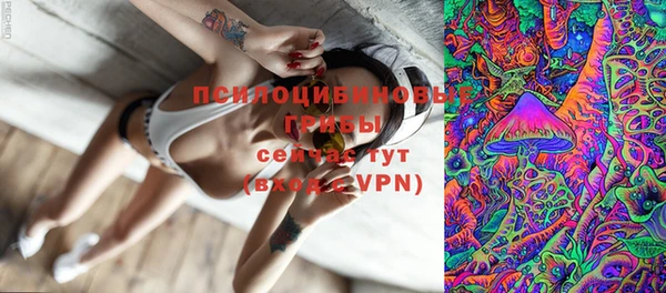 PSILOCYBIN Куйбышев