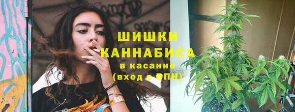 Альфа ПВП Санкт-Петербург