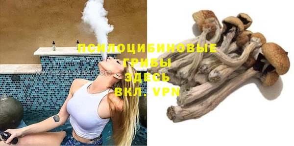 гидра Кулебаки